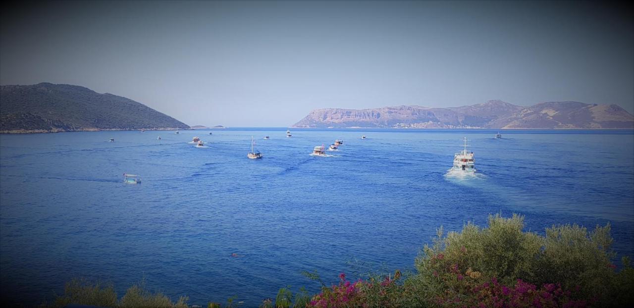 Cakil Pansiyon Kaş Exteriör bild